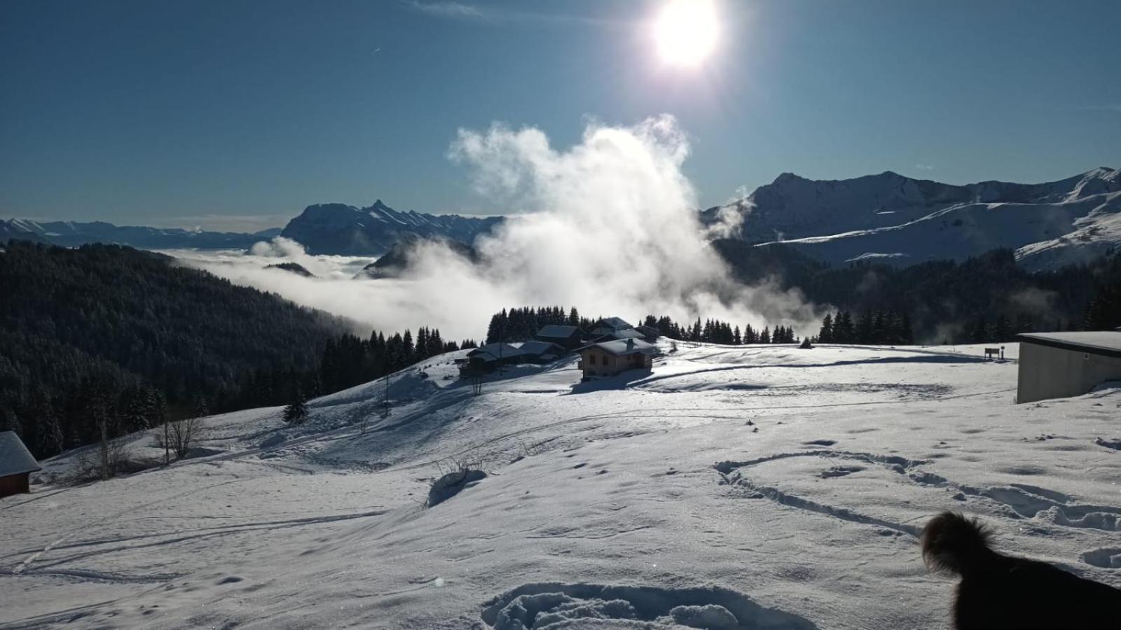 La Chanterelle - Mountain Lodge La Cote d'Arbroz 외부 사진