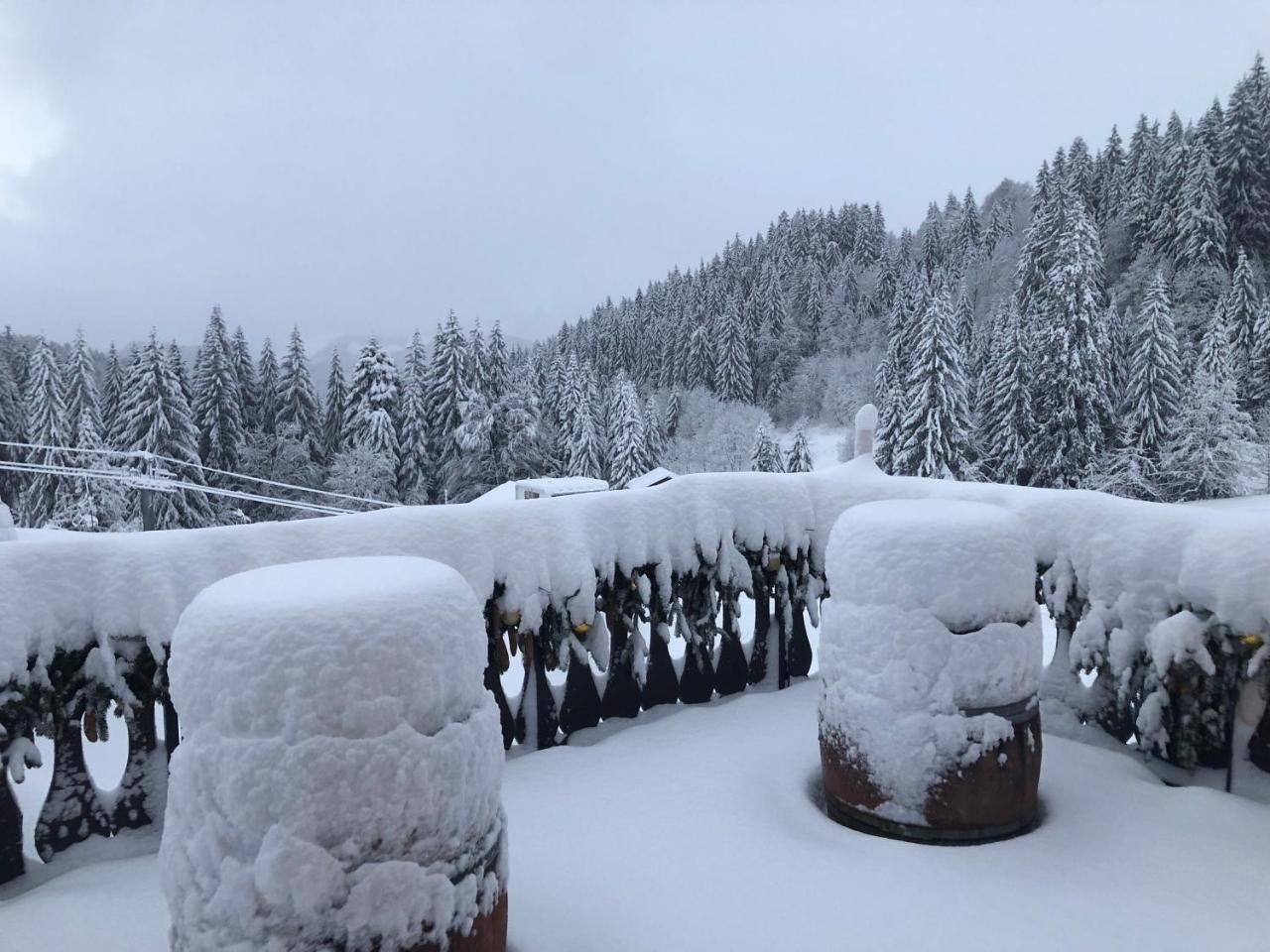 La Chanterelle - Mountain Lodge La Cote d'Arbroz 외부 사진